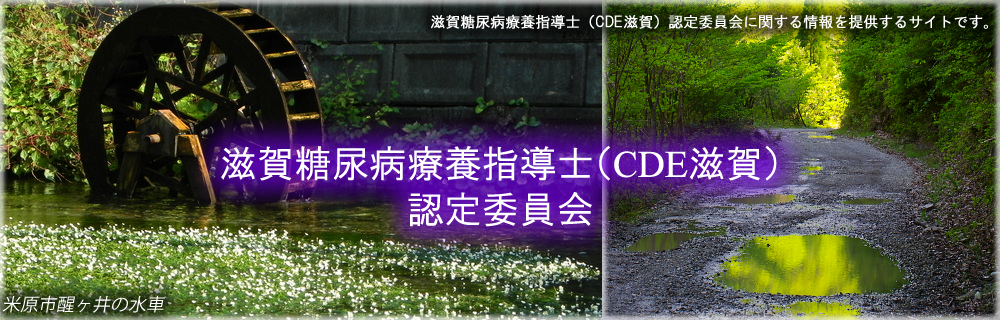 CDE滋賀認定委員会